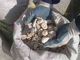 booth-building����-���ی- |�� ��ی ��یی�ی ����